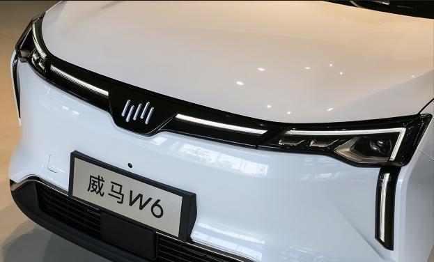 威马w6解析,起售16.98万的纯电动suv,最低续航520km实力如何?