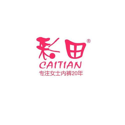 彩田4条包邮超细纤维性感蕾丝舒适易洗易干中板女士
