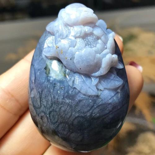 永不凋谢的花朵～～海洋花仙子珊瑚玉