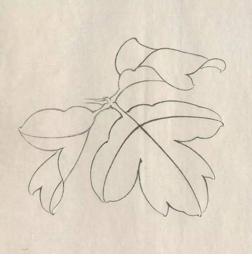 工笔画牡丹花房花蕊叶子枝干的画法及设色