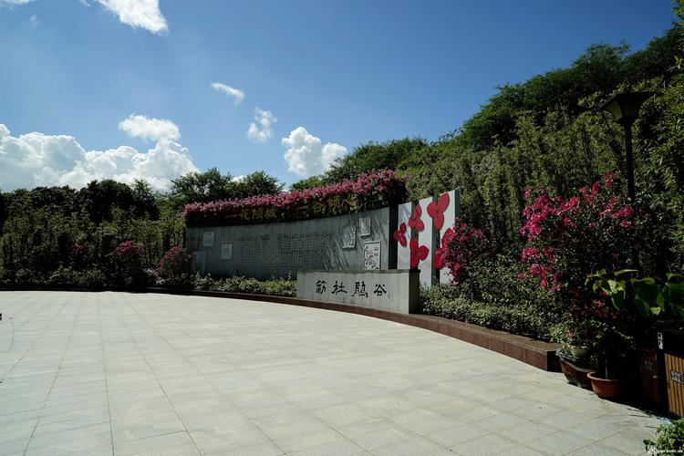 夏季—簕杜鹃谷 - 摄影沙龙 - 深圳论坛