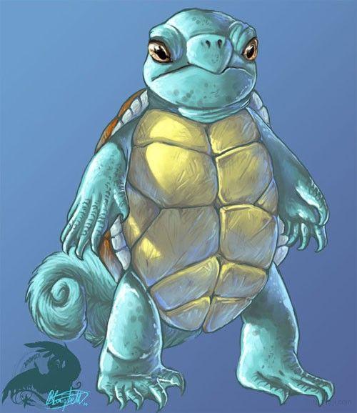 口袋妖怪角色插画 杰尼龟(squirtle ) | ui设计网-专业探讨ui设计