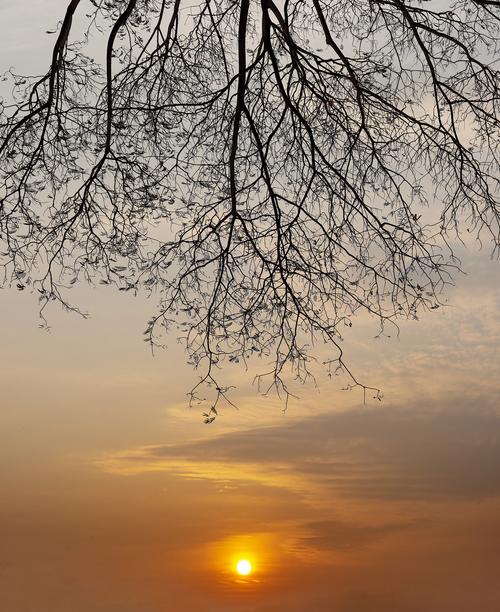 冬日早晨的阳光