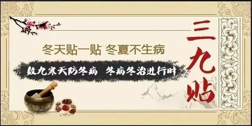 写美篇 一九:2020年12月21日 二九:2020年12月30日 三九:2021年1月8