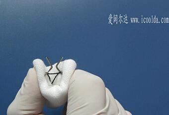 男童包茎手术环掉落的伤口图片