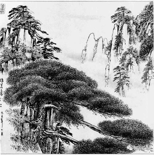 线描松树图谱选页欣赏(上)