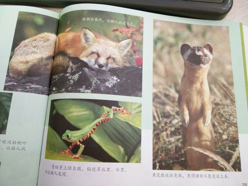 大一班 动物的防身绝招