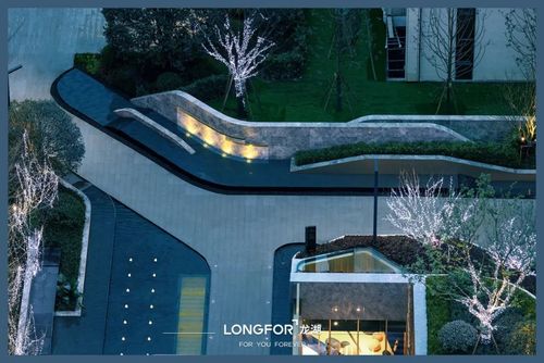 那些年,我们一起追过的龙湖成"名"作