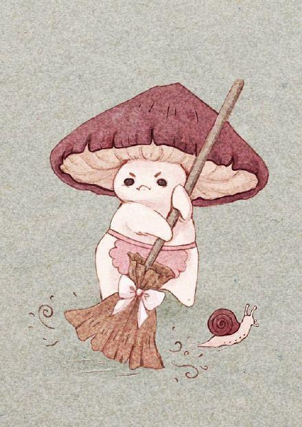 我发现了一组好看的蘑菇图片