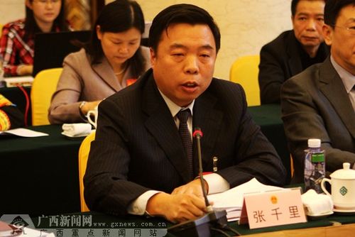 全国人大代表,南宁铁路局局长张千里.广西新闻网记者 刘斐 摄