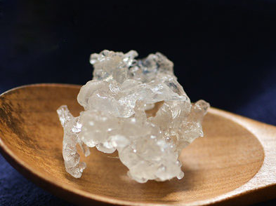 植物雪燕的功效与作用禁忌是什么呢