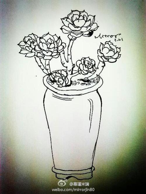 线描多肉植物