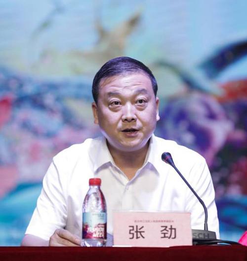 武汉市江汉区人民政府常务副区长张劲发表讲话