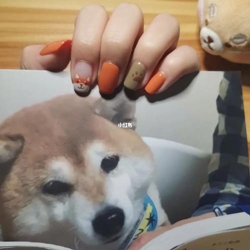柴犬指甲真的太可爱啦~_美甲_柴犬_广东职业技术学院高明校区攻略_甲