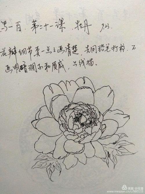 跟着阿乐画速写——"速写一百,每日一画"(1)