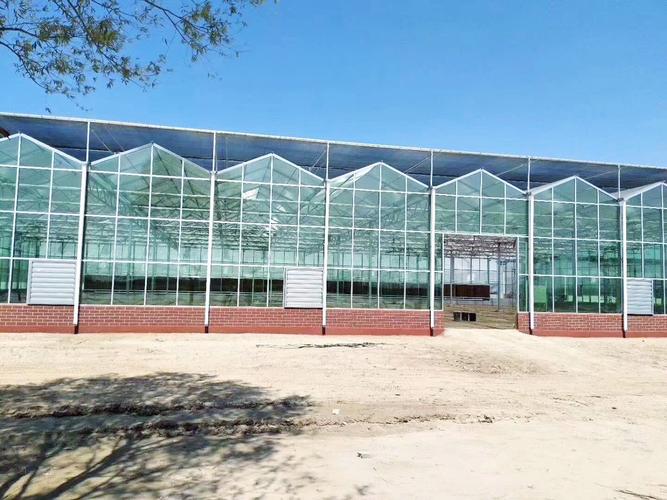 光伏蔬菜大棚