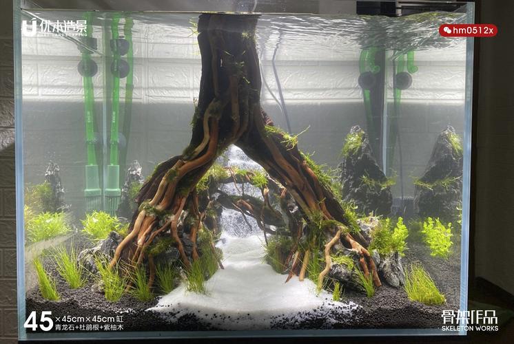 往日往年我经历过的成景返图的草缸造景