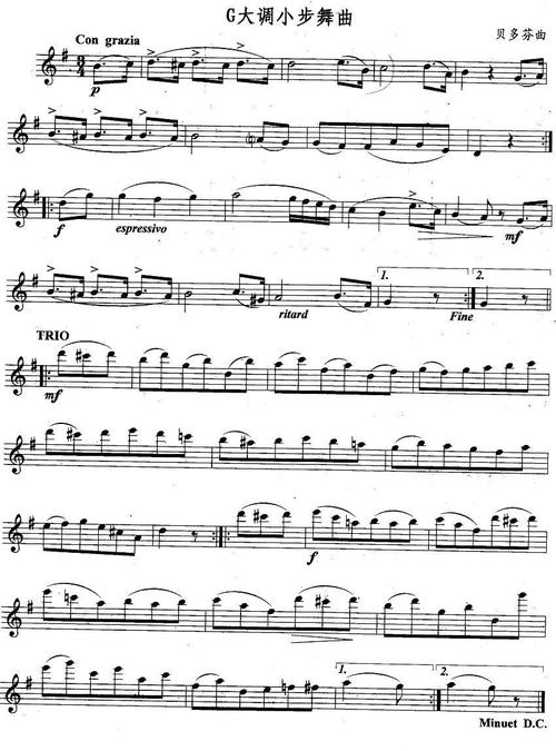 g大调小步舞曲