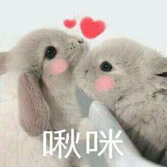 有没有情侣之间用的亲亲的表情包