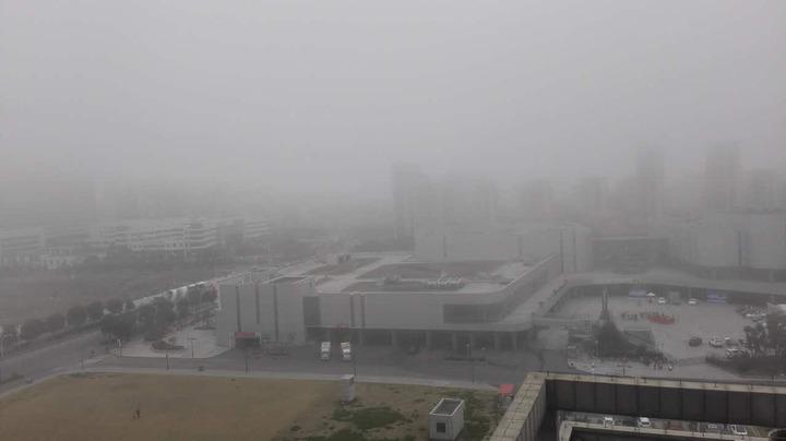 交通|大雾渐散 岛城海上交通陆续恢复通行