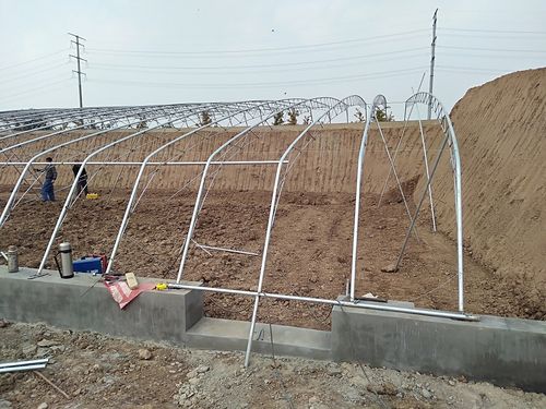 日光温室大棚建设农业蔬菜大棚建造兴建