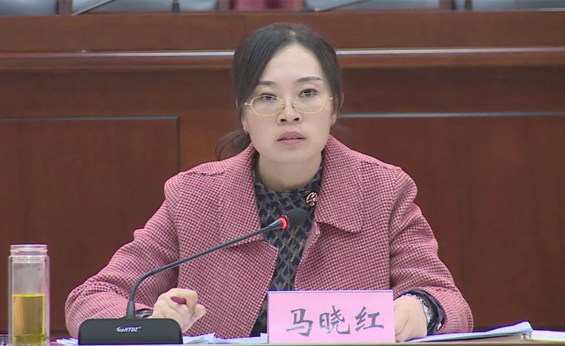 马晓红主持召开2022年重点项目推进会_泾源县人民政府