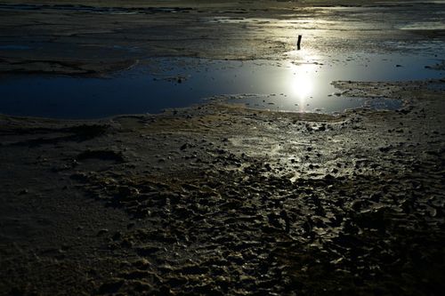 [甘青环线]"天空之镜"茶卡盐湖快成黑泥潭
