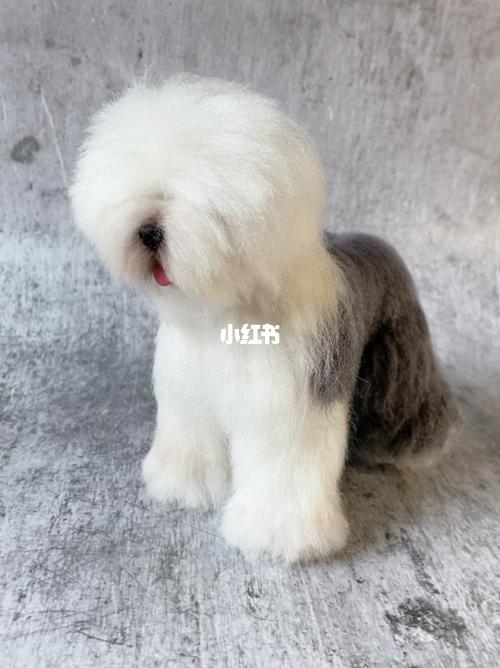 小布的大宠-古牧犬_blythe怎么样_blythe小布_宠物_狗