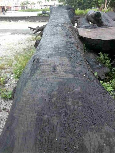 水浸铁力木,现在多少钱一方?13m*0.90~1m*1m左右.估计