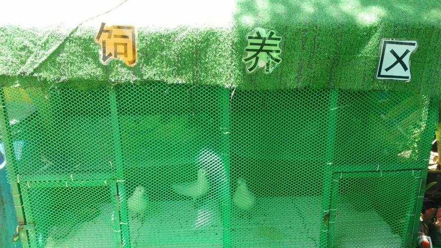 娃哈哈幼儿园种植区和饲养区