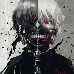 分享图片【金木研】