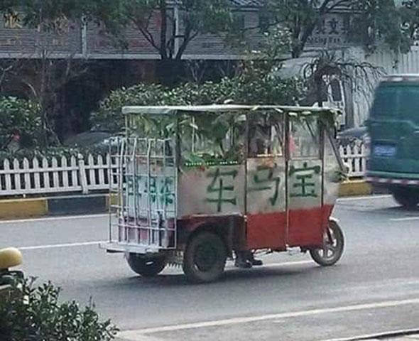 好豪华的宝马车啊!