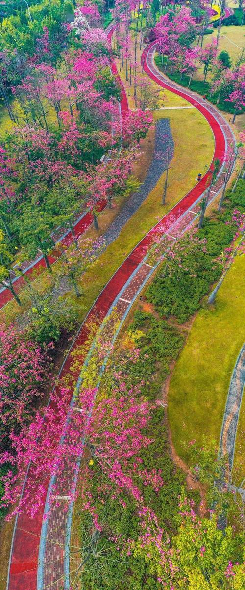 河道边,还是驿站外姹紫嫣红的花海长廊,绵延14公里东至横琴大桥,西南