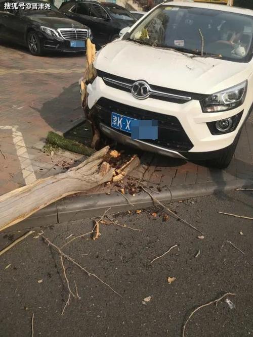 天津车撞树上罪魁祸首竟是