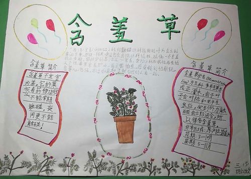 胡以欣《含羞草》