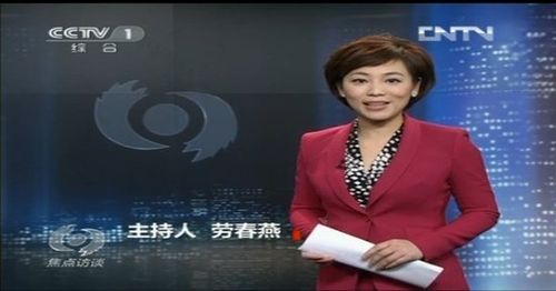 《焦点访谈》改版后盘点流行语收入"**丝"