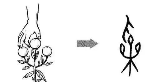 网络   再比方,「采摘」的「采」字,看看它的甲骨文,一目了然,「采」