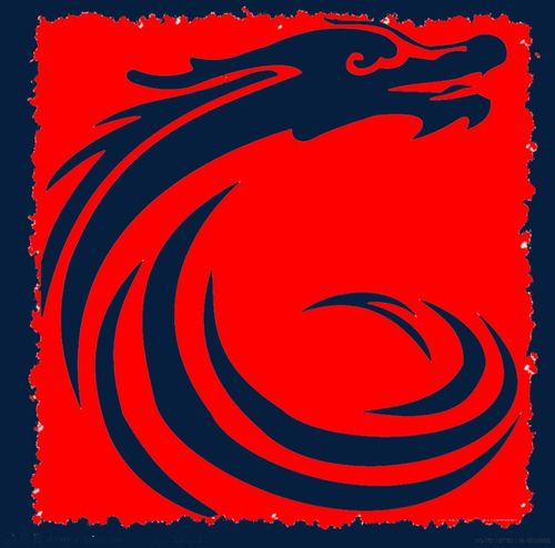 龙图腾红色印章