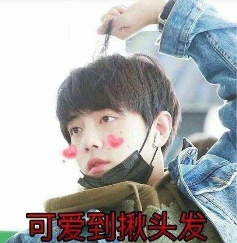 肖战搞笑表情包:对方选择了沉默,并退出群聊!