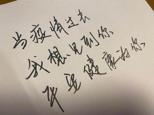 何炅手写加油接力字迹清秀:我想见到平安健康的你