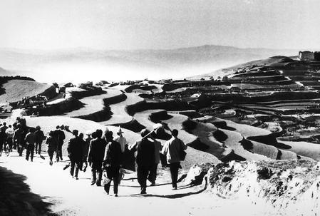 【庆祝改革开放40年】我们的40年 在希望的田野上