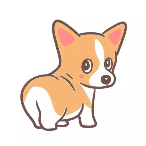 动物| 不可错过的狗狗小柯基简笔画