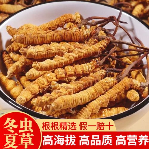西藏那曲冬虫夏草特级正品正宗野生头茬新鲜干虫草礼盒装养生茶5g