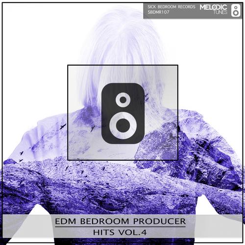 midnight (original mix) - freezone - 单曲 - 网易