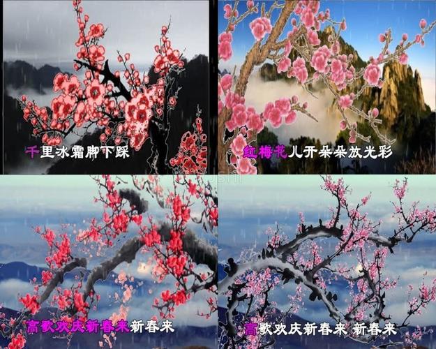 红梅赞伴奏