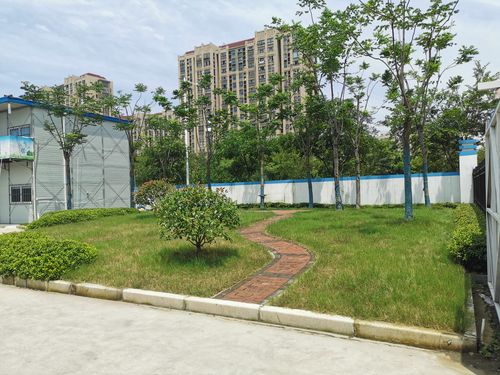 办公区绿化郁郁葱葱,如同项目部管理人员一样朝气蓬勃.