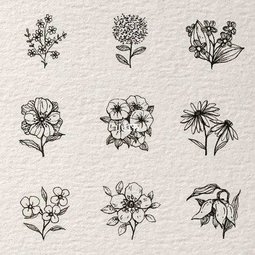 简笔画花卉分享98|图源于01_简笔画_花卉_夏天去哪玩_简笔画教程