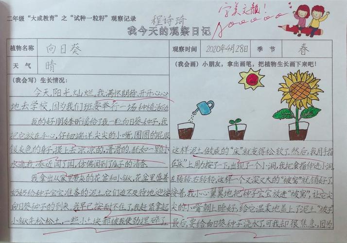 写下了关于"向日葵小朋友"的第一次观察记录