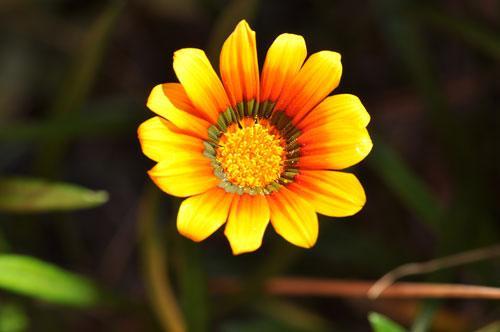 尼康d90样张尼康d90样张