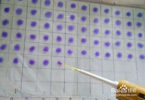 怎样测定鸡白痢抗体